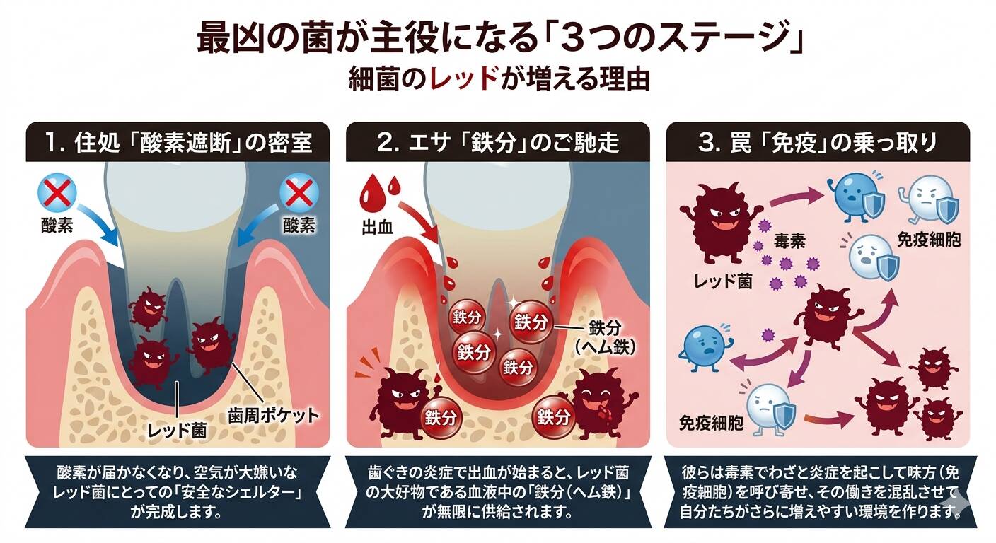 歯周病が増える3つのステージ